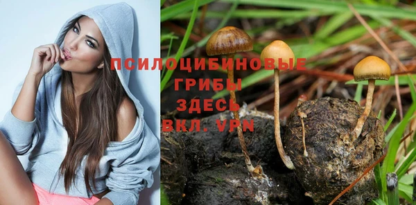 ешки Строитель