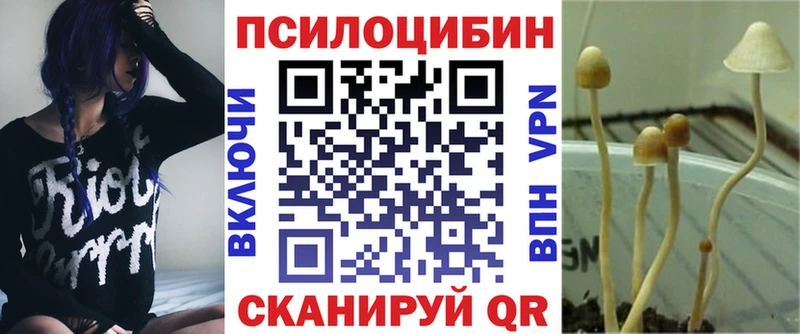 кракен онион Остров Галлюциногенные грибы ЛСД